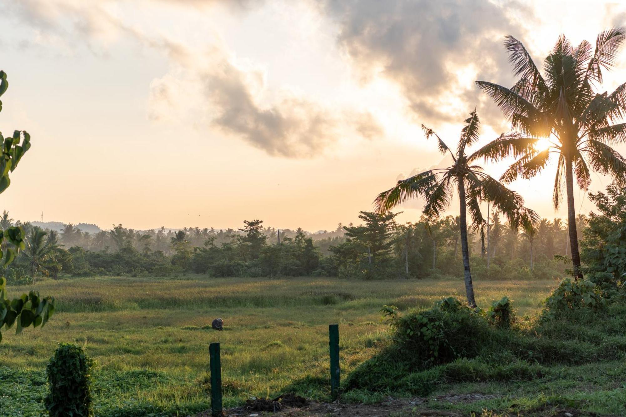 The Hillside Resort Siargao General Luna  Dış mekan fotoğraf